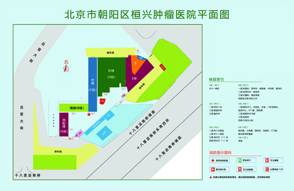 免费黄片男女操鸡北京市朝阳区桓兴肿瘤医院平面图